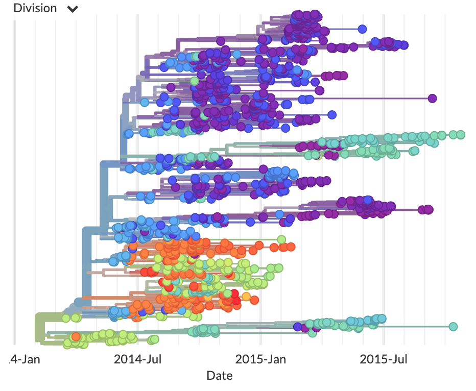 Nextstrain: real-time tracking of pathogen evolution