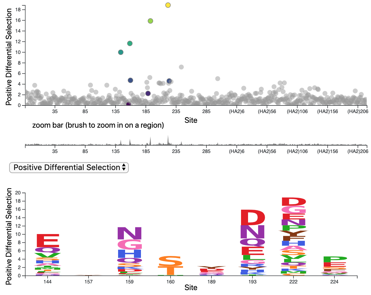 dms-view: Interactive visualization tool for deep mutational scanning data