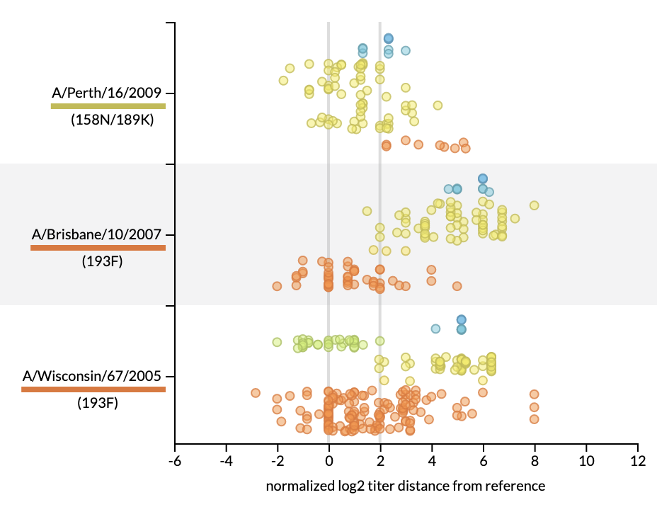 Joint visualization of seasonal influenza serology and phylogeny to inform vaccine composition